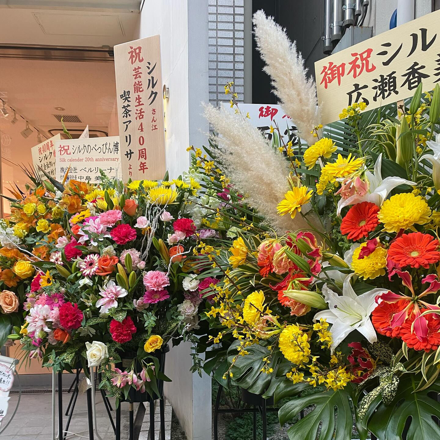 💎芸能生活40周年💎