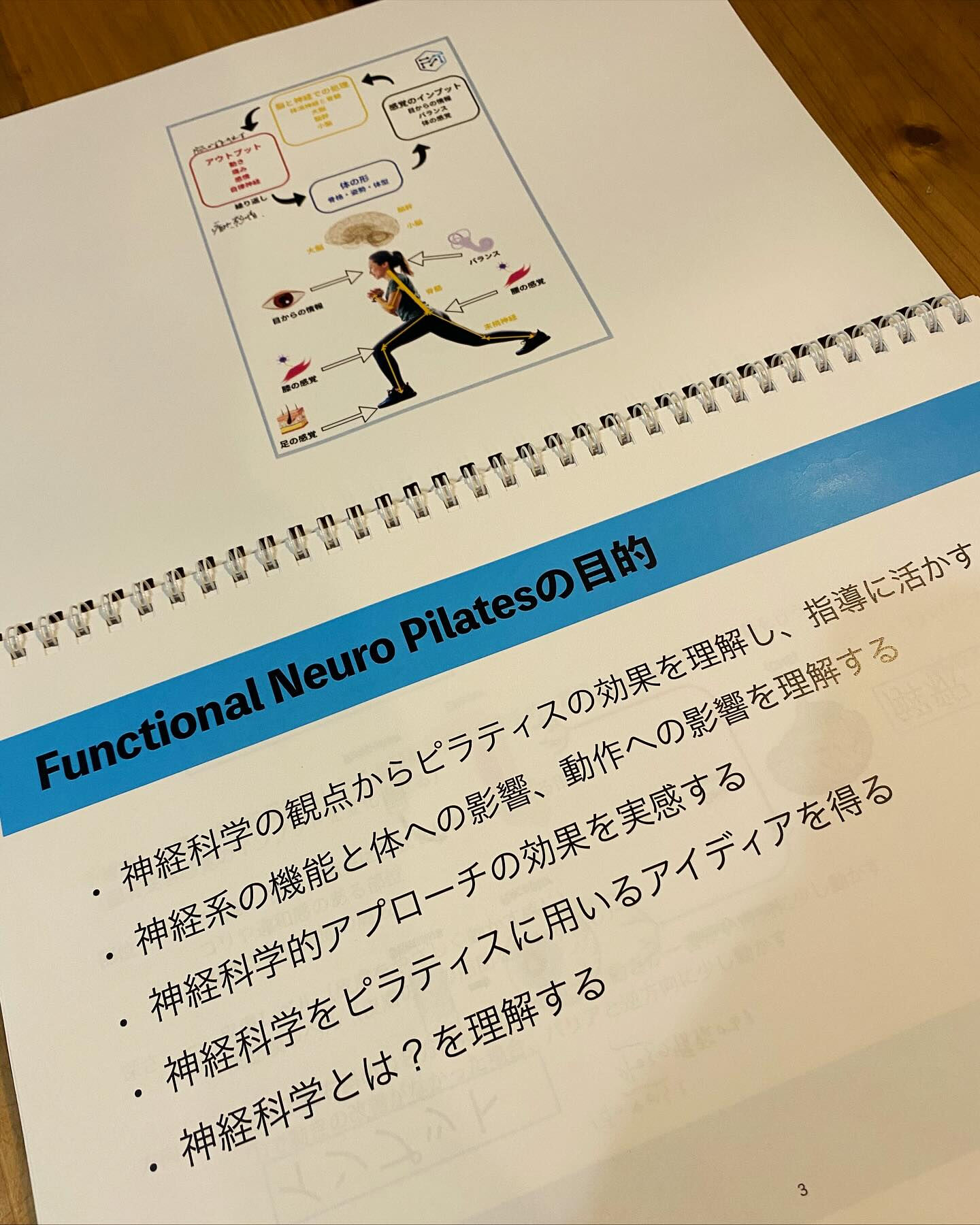 【“神経学”の学びがスタート🧠✨】