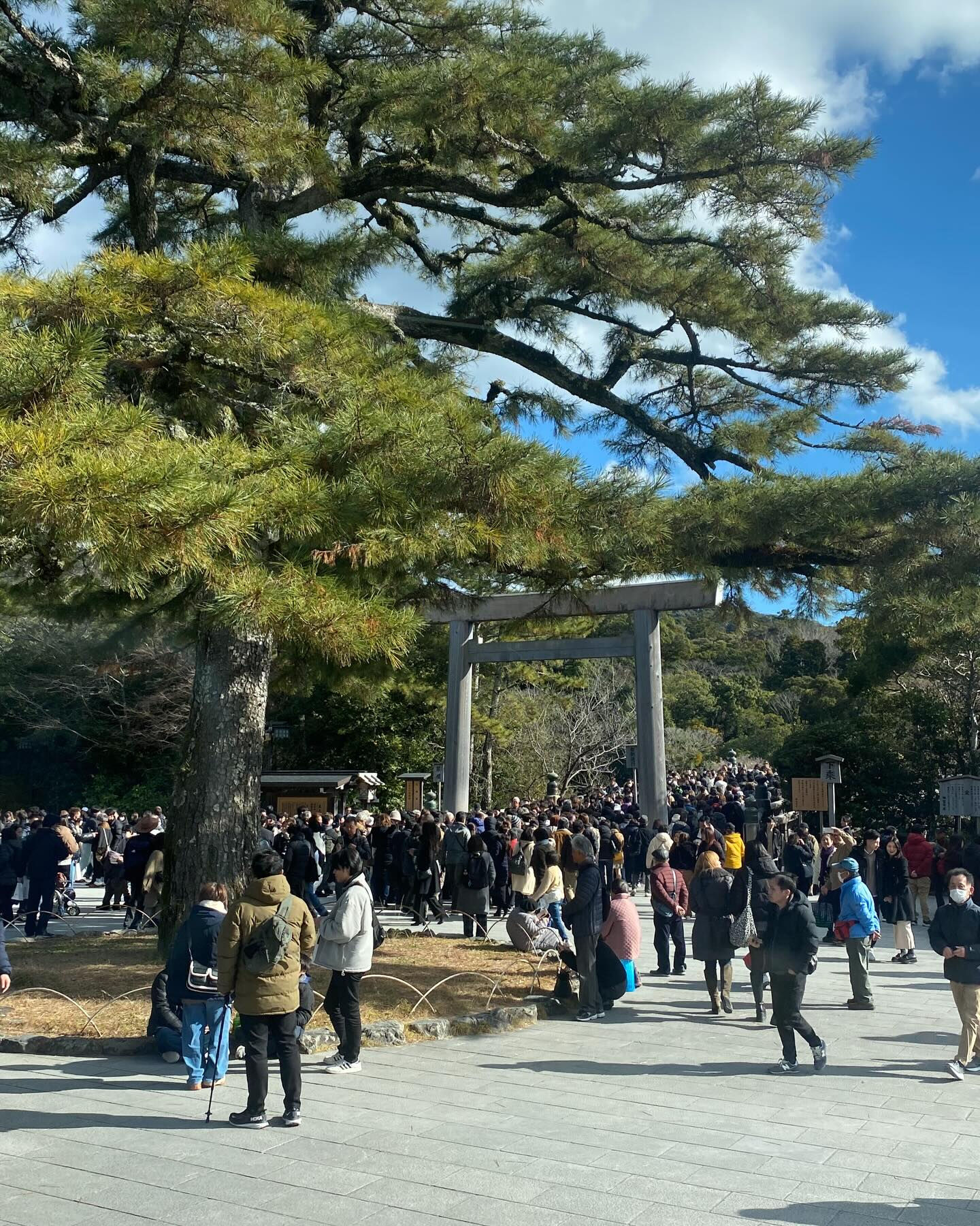 ✨2026年、始動しました✨